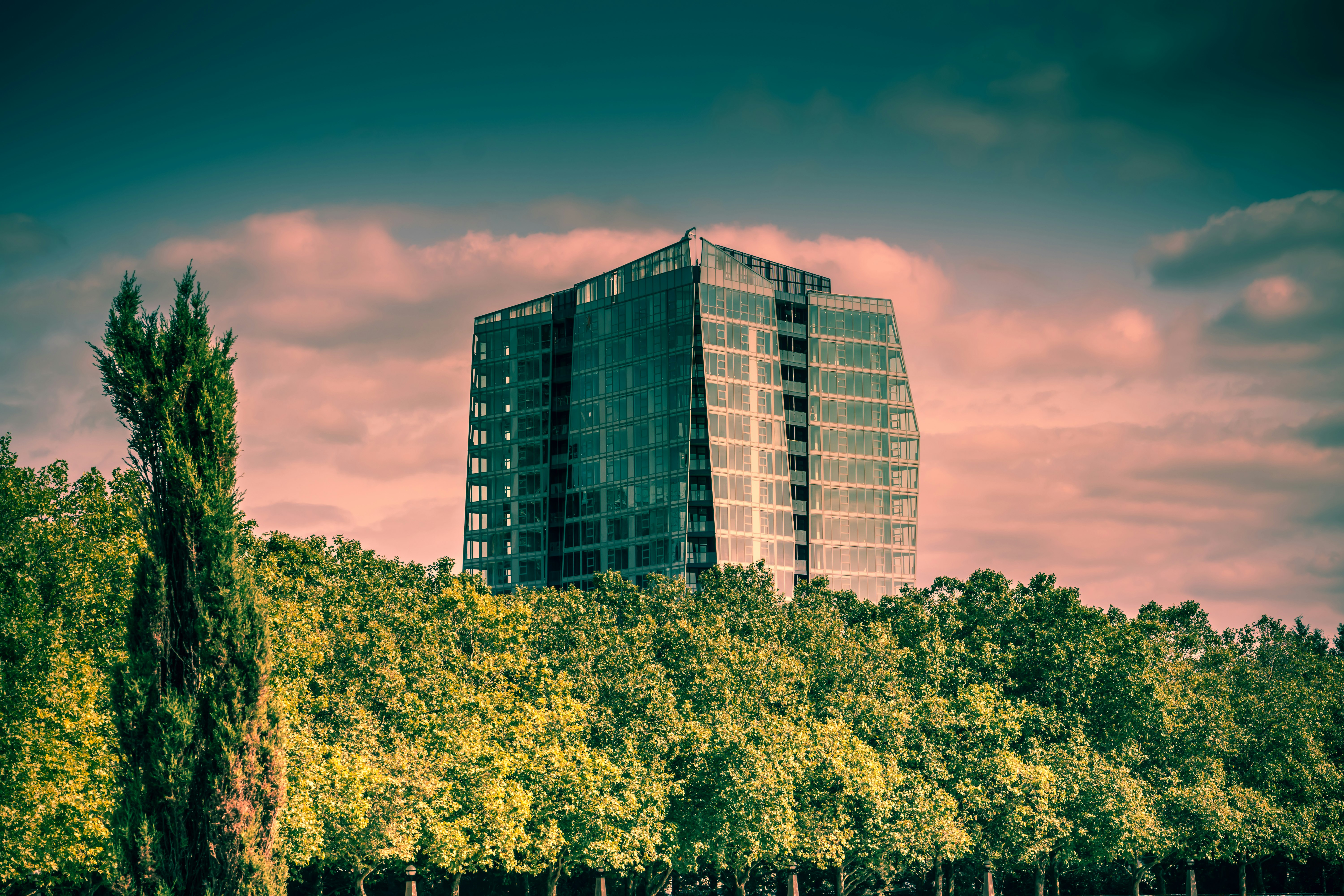 blue and white building near green trees under blue sky during daytime