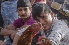 girl in white and black stripe shirt holding brown rooster