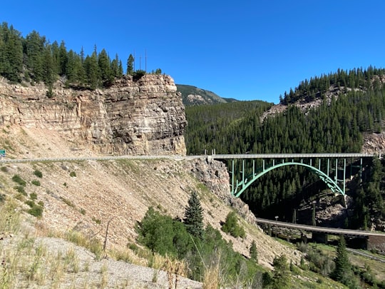 green trees on brown rocky mountain under blue sky during daytime in Red Cliff Bridge United States