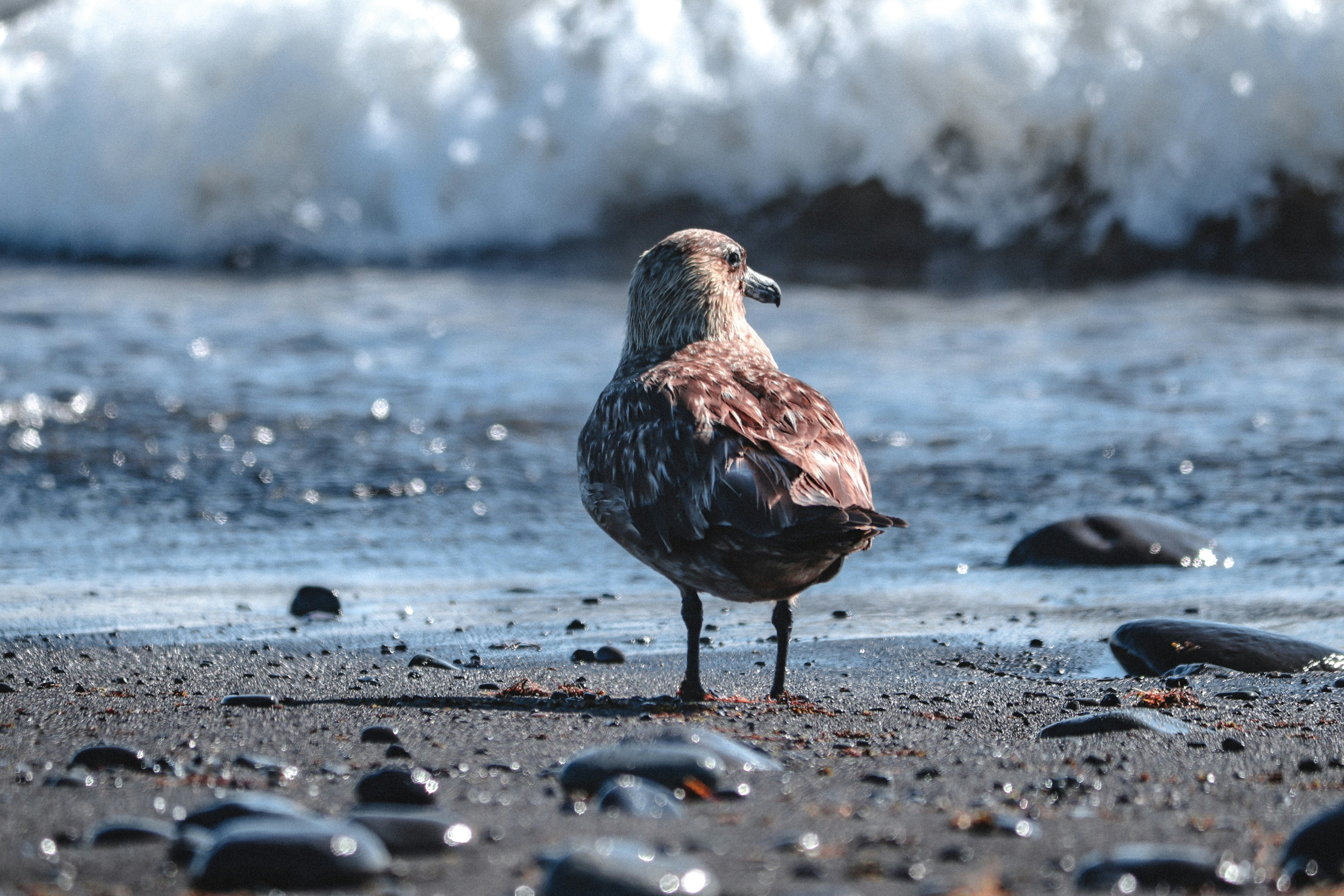 Photo by pierreaxel_