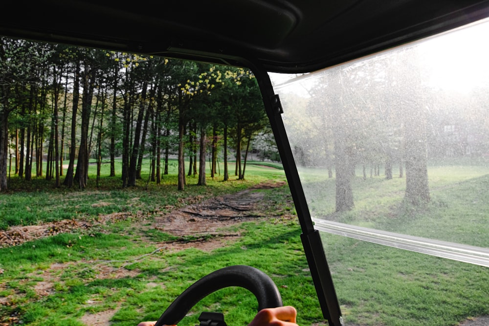 black car steering wheel near green grass field and trees during daytime