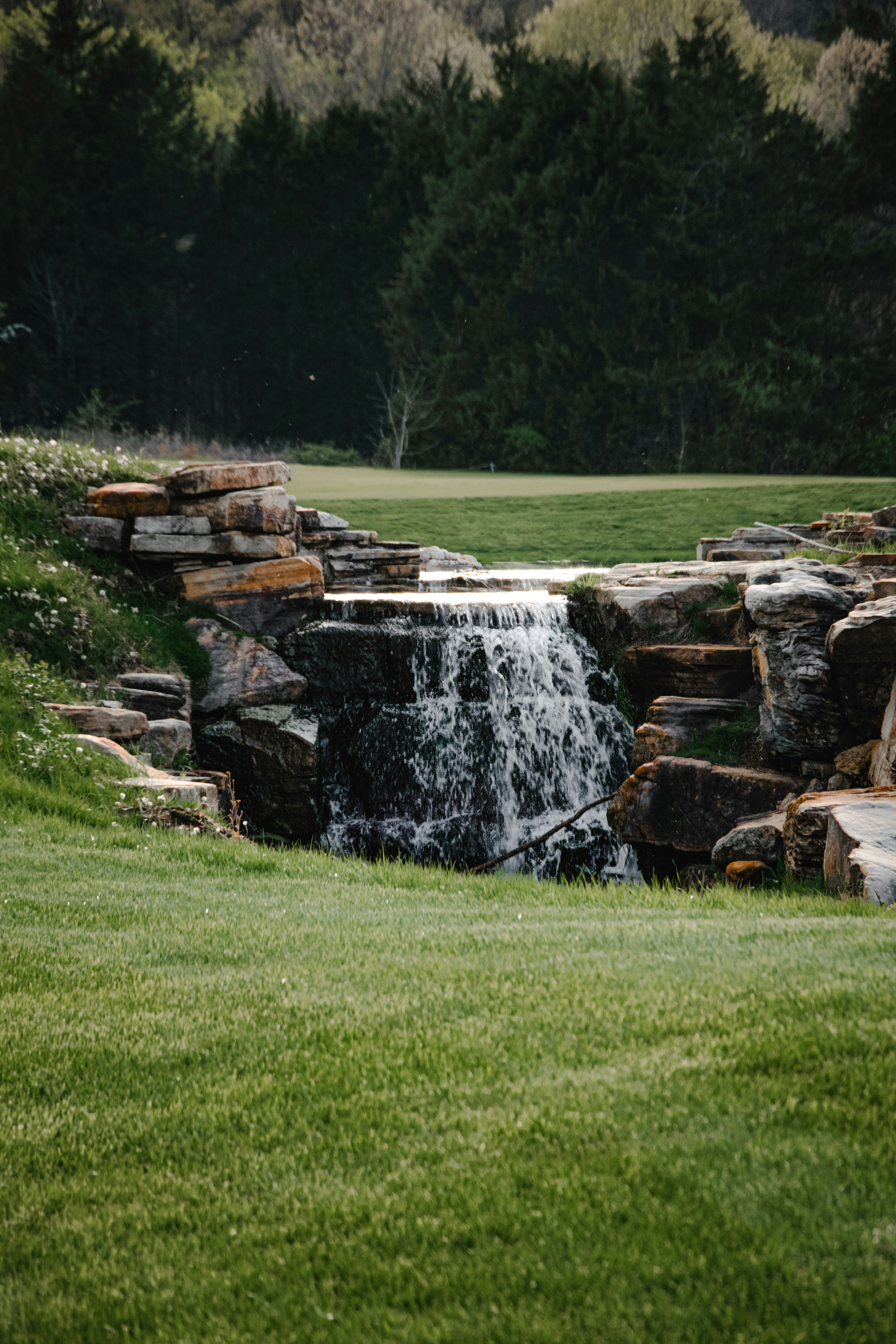 brown and gray rocks on green grass field during daytime