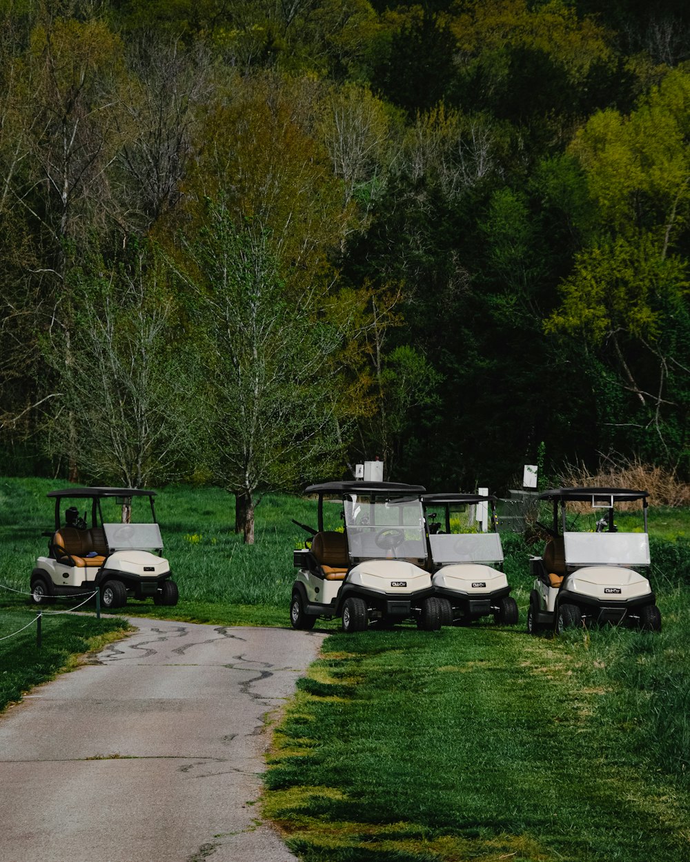 carrinho de golfe branco no campo de grama verde durante o dia