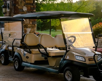 SAAG image of white and black golf cart