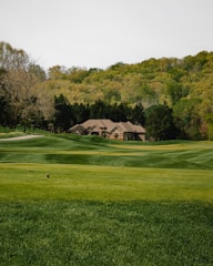 A large house is positioned in the middle of a lush green landscape with a well-maintained lawn. Surrounding the house, there is a dense forest area with various sizes of trees. The sky is clear with no visible clouds, creating a bright and serene atmosphere.