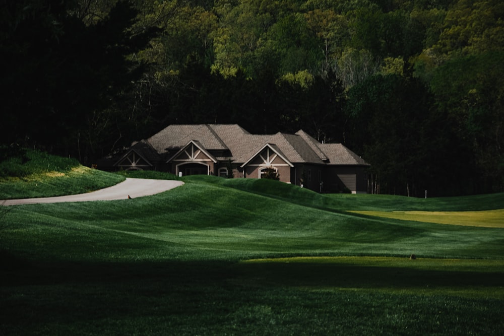 green grass field with green trees