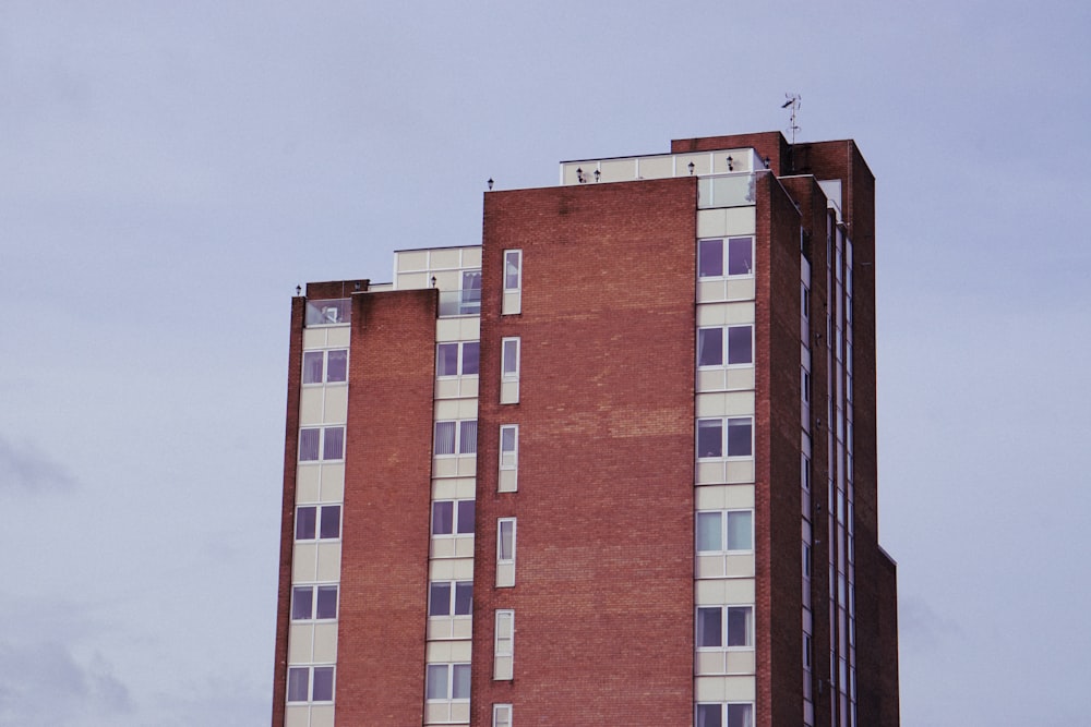 brown and white concrete building