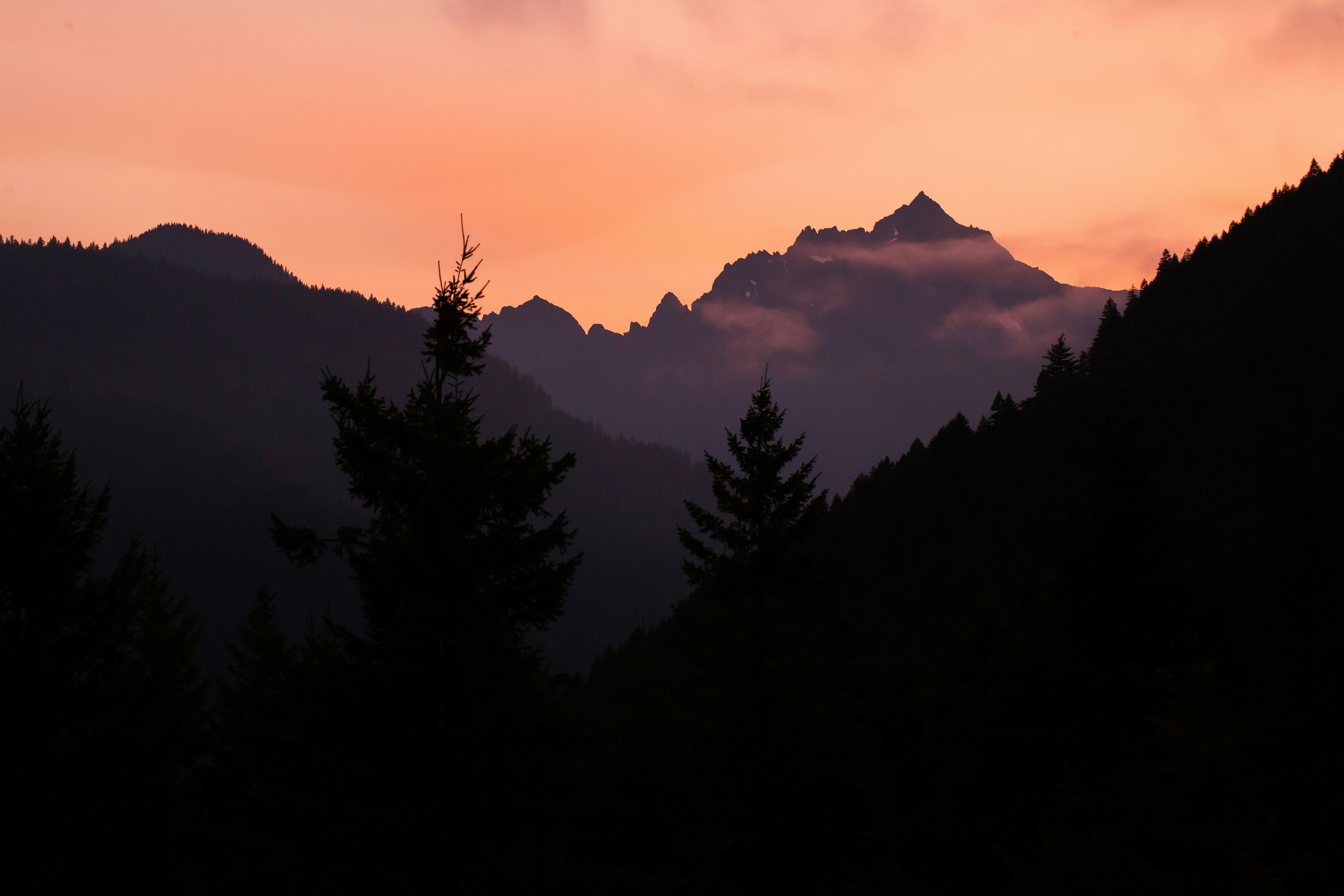 Photo by spring_fed_images