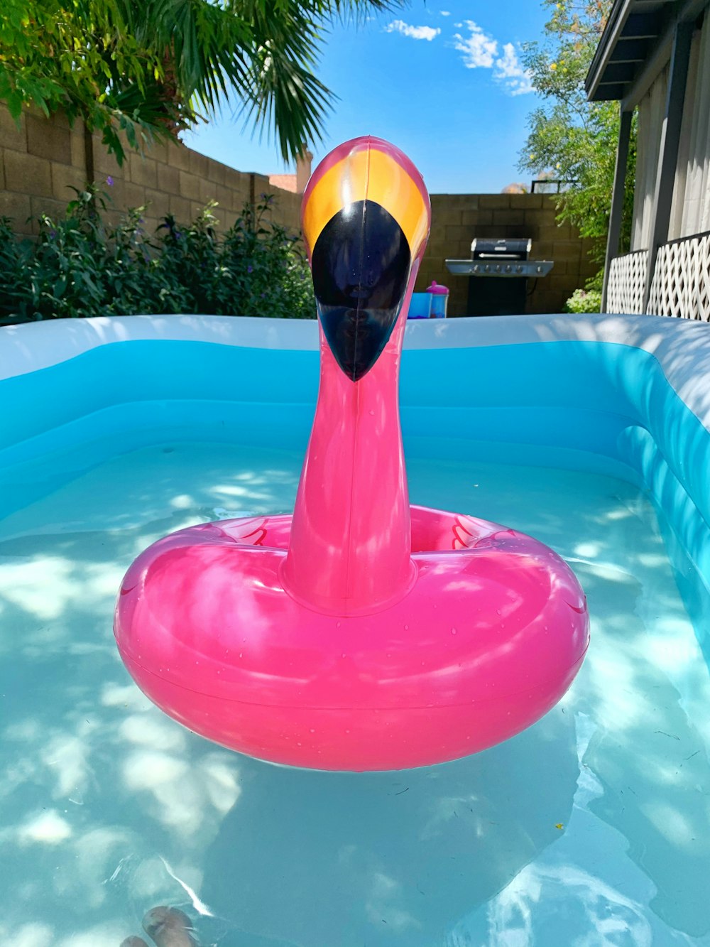 red and yellow inflatable duck on swimming pool