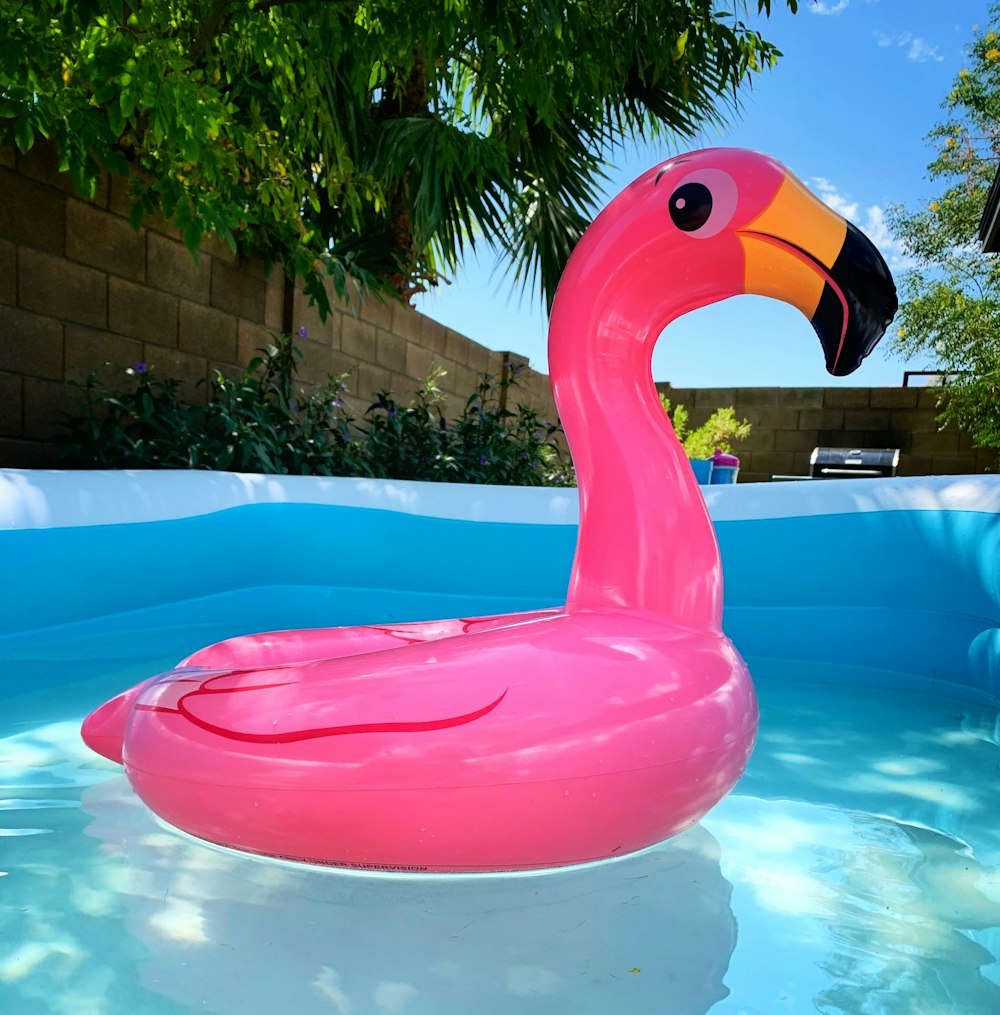 Anatra gonfiabile rosa sulla piscina durante il giorno