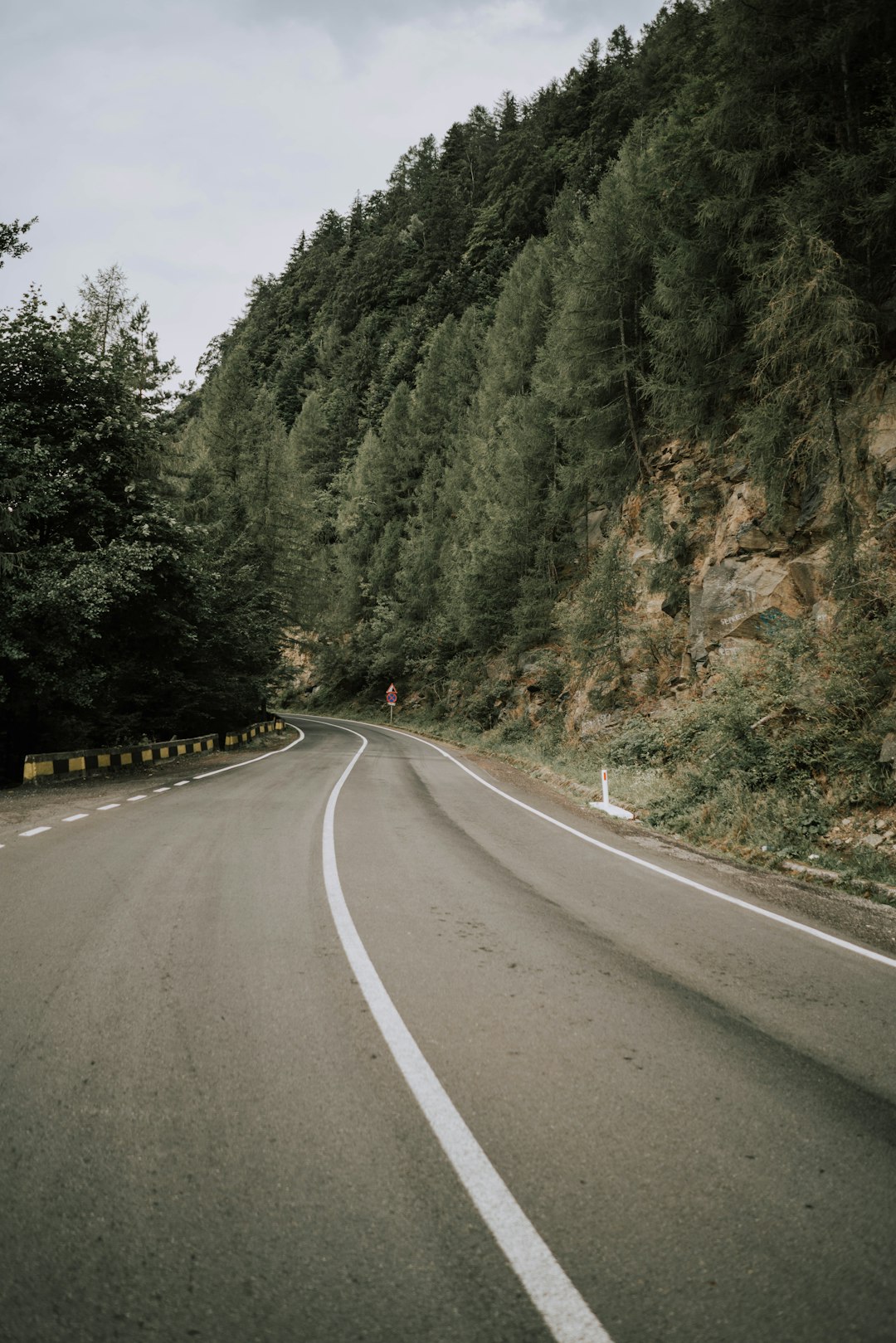 black car on road between green trees during daytime