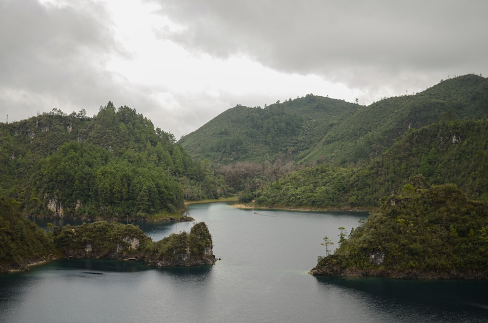 alberi verdi vicino al lago sotto il cielo bianco durante il giorno