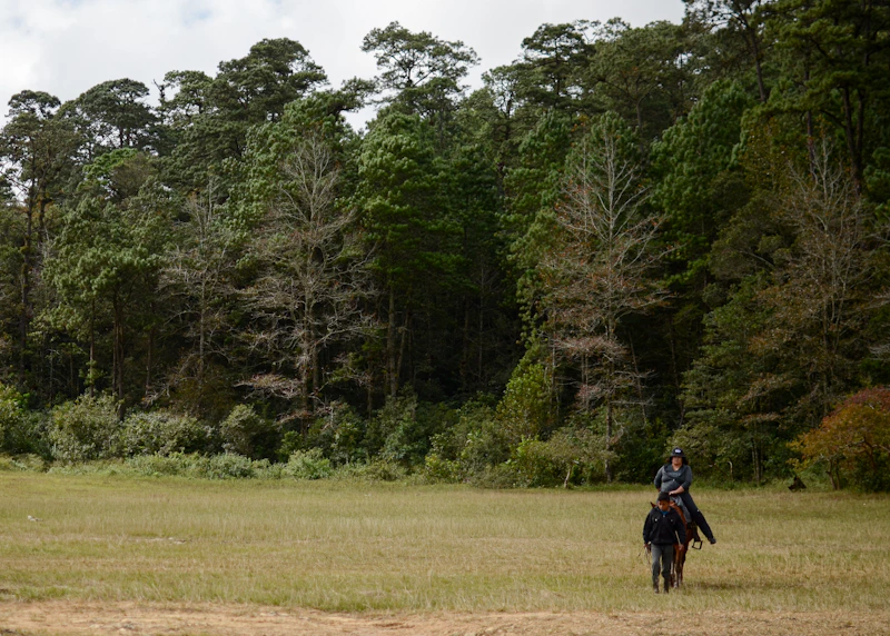 hombre elegante caminando en naturaleza