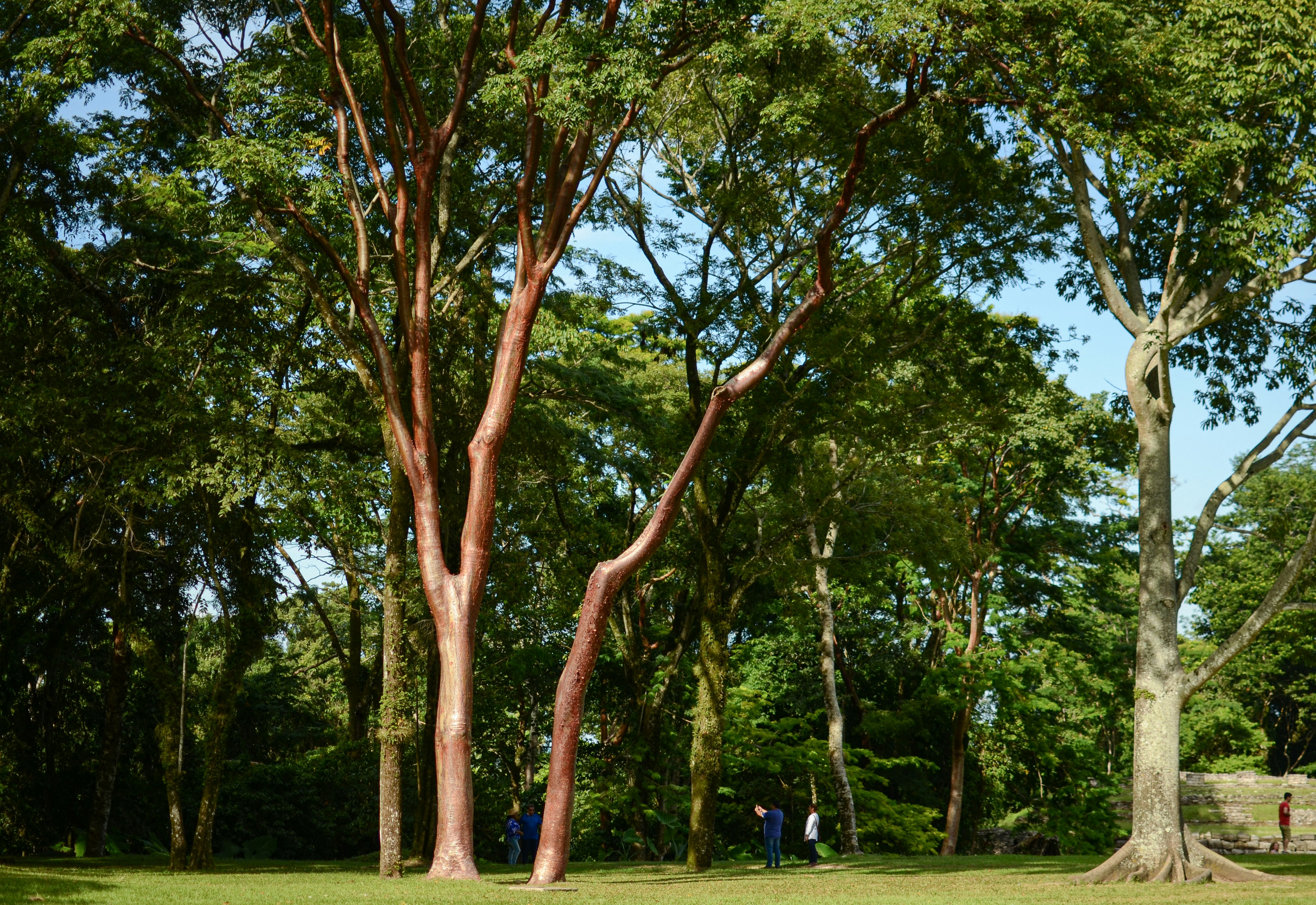 Parque el Macas