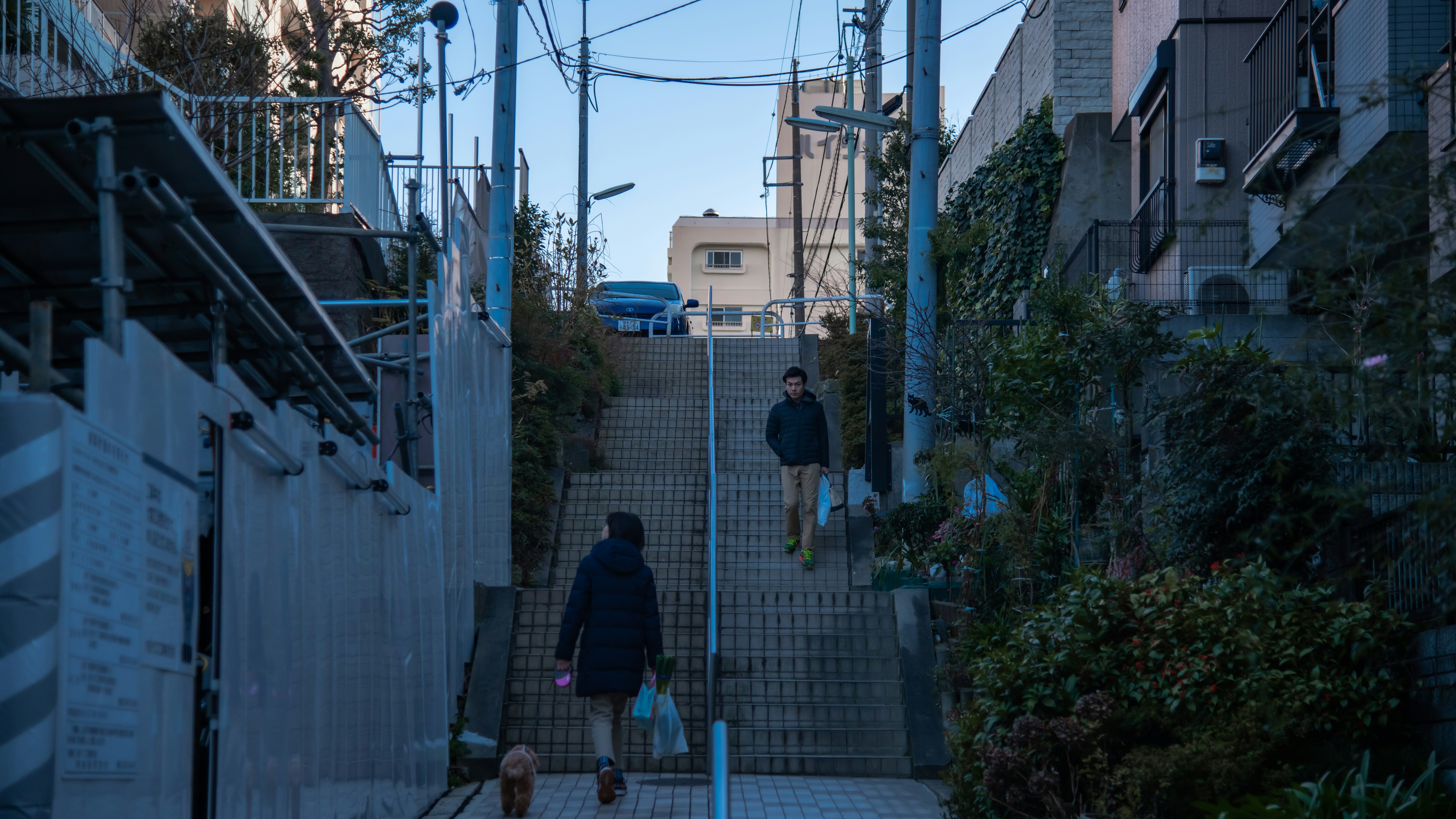 Photo by yang1996