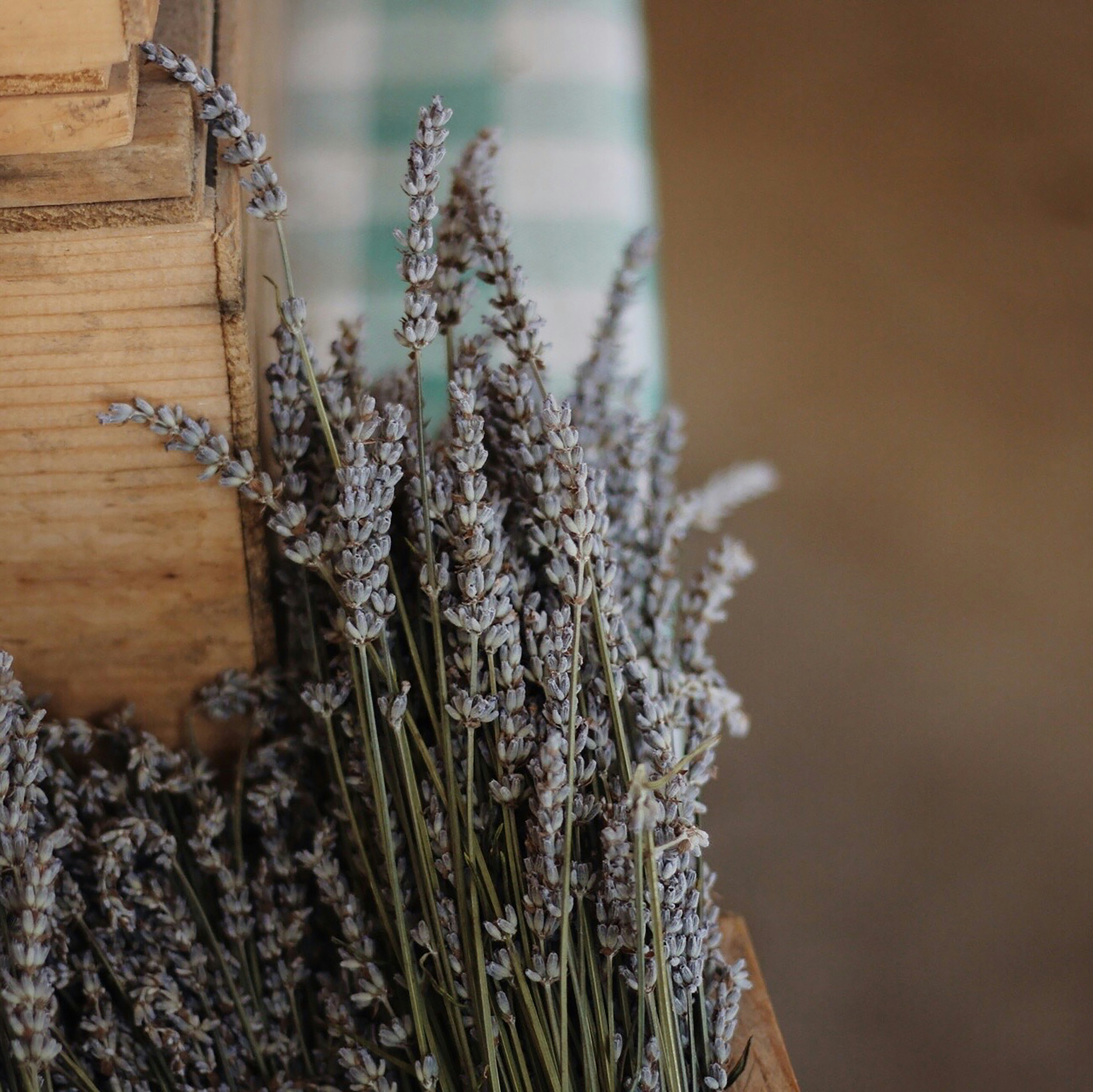 Photo by sierranarvaeth