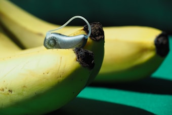 A close-up view of bananas with a hearing aid resting on top. The bananas are ripe with some brown spots on the peel, and the hearing aid is silver and slightly reflective.