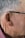 Close-up of the right side of an elderly man's head, focusing on his ear, gray hair, a hearing aid, and eyeglasses with a black frame. He is wearing a red checkered shirt.