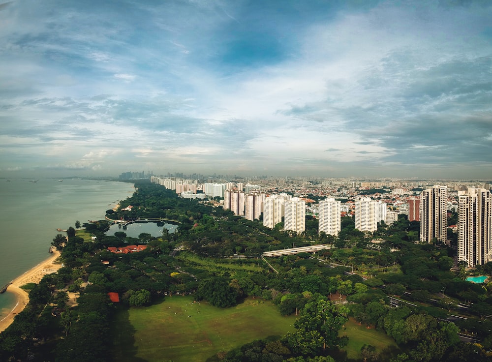 aerial view of city buildings near body of water during daytime