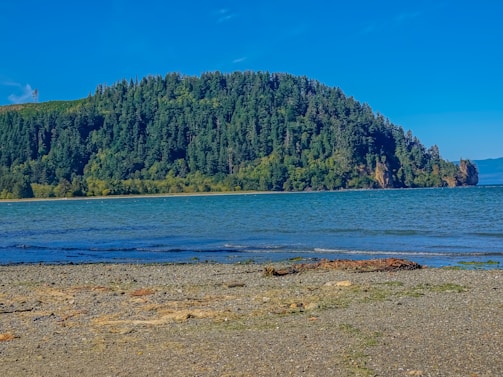 A serene landscape of Chiloé, showcasing its natural beauty.