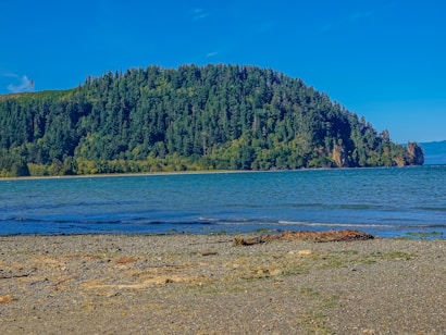 A serene landscape featuring a rocky shoreline extending towards a calm body of water. In the background, a lush, densely forested hill rises against a clear blue sky. The scene conveys a sense of tranquility and untouched natural beauty.