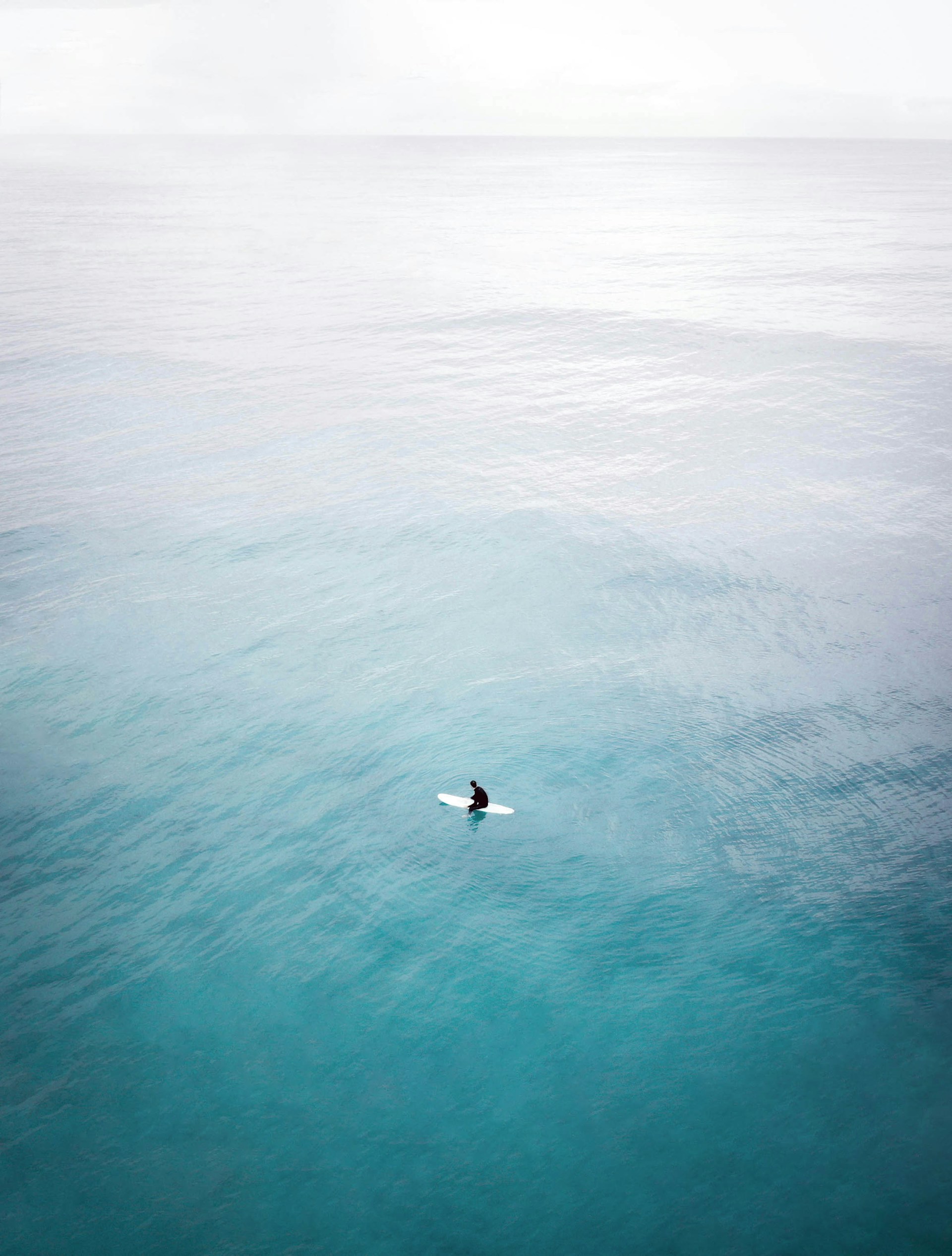 white and black bird flying over sea