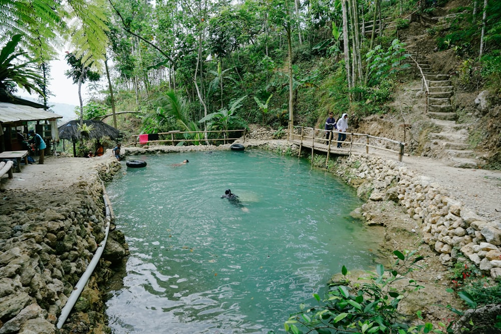 people in river between trees during daytime