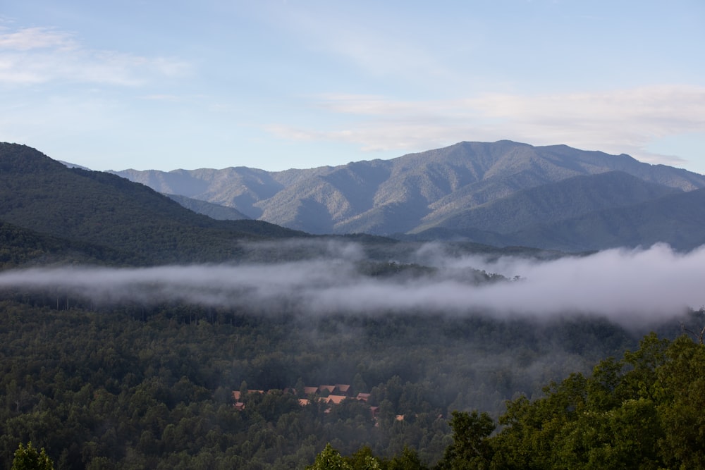 green trees on mountain under white clouds during daytime