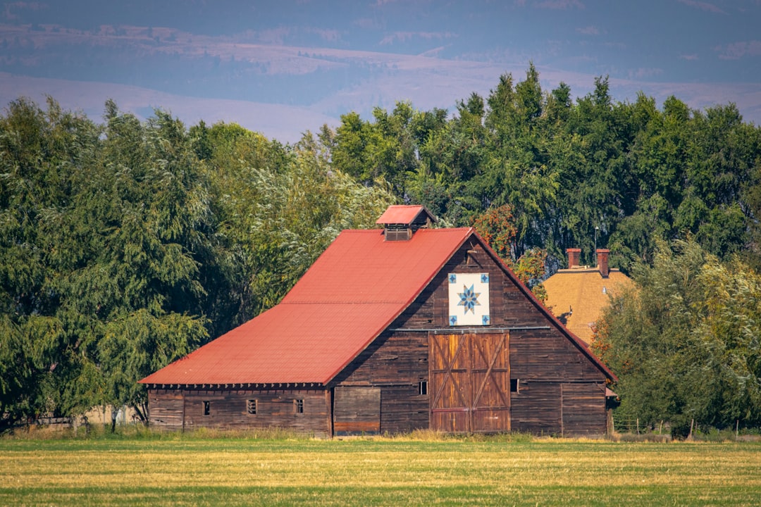 red barn house near green trees under blue sky during daytime