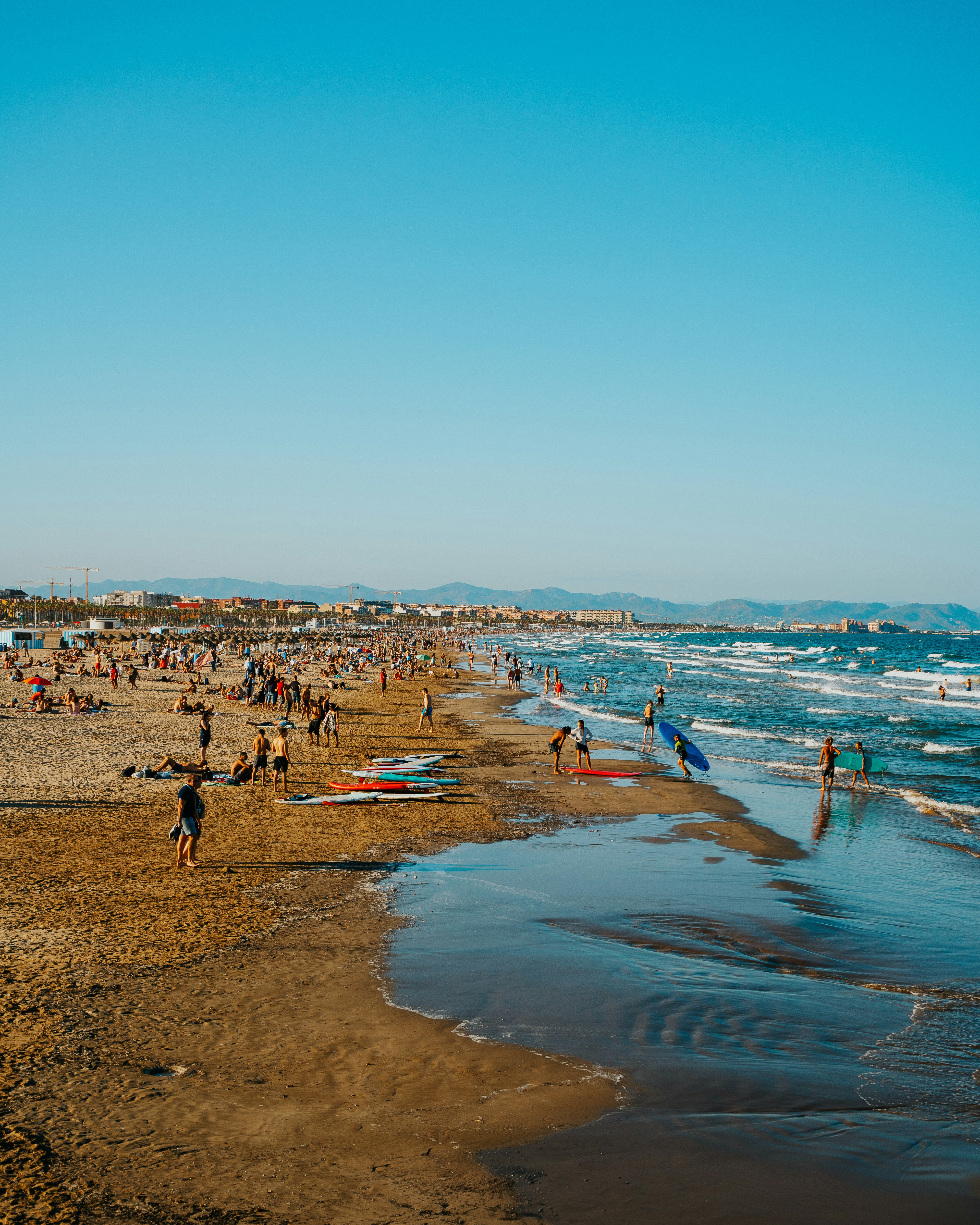 people on beach during daytime