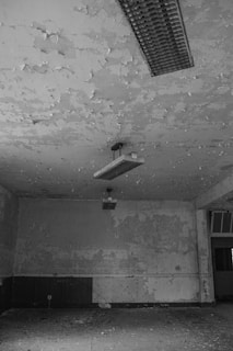 st. george mold removal