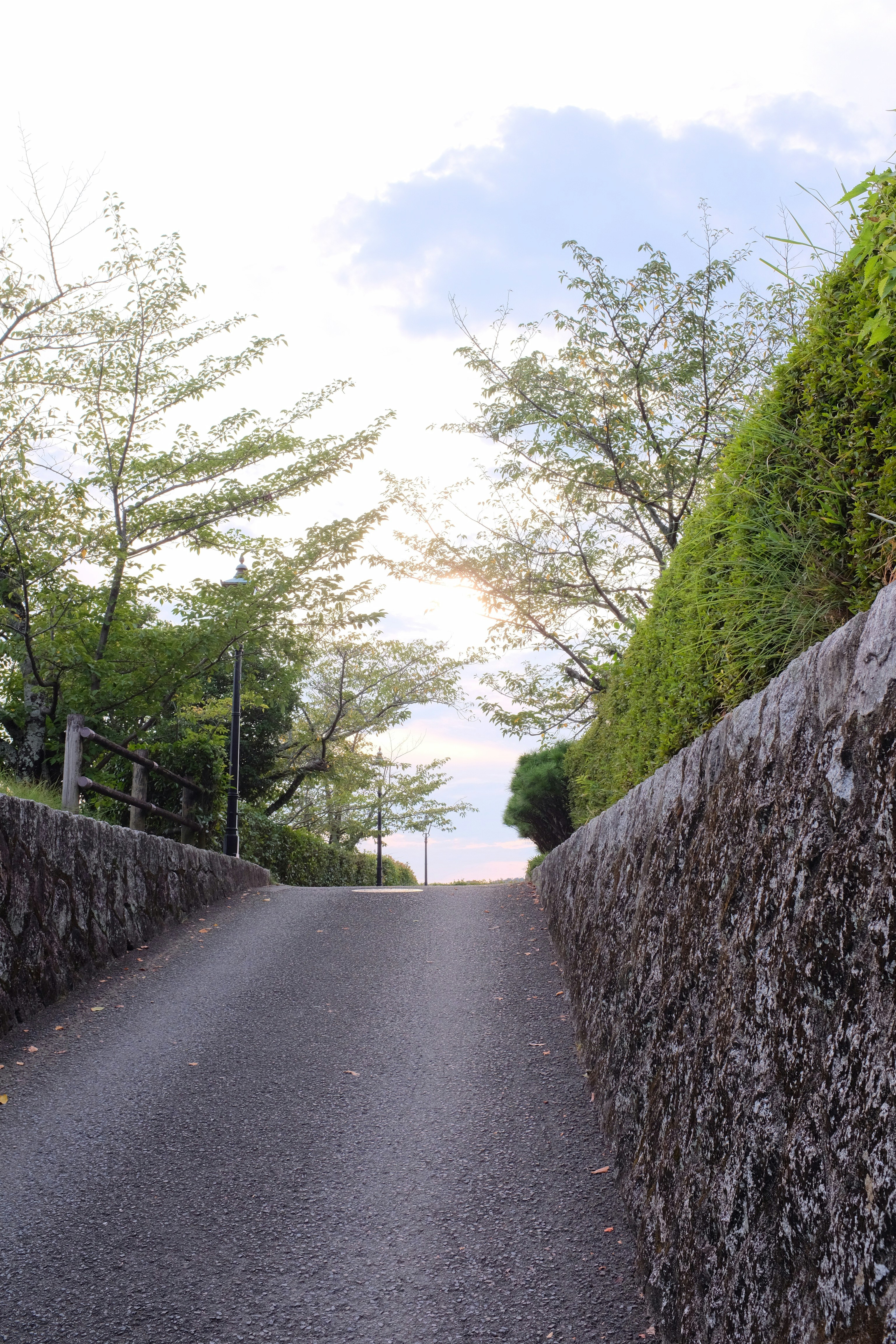 Photo by mak_jp