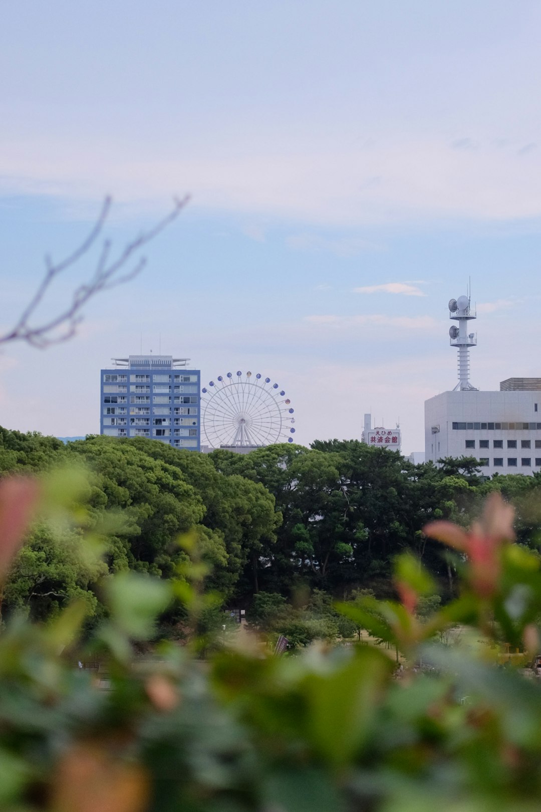 green trees near city buildings during daytime