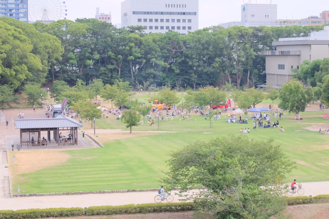 people on green grass field during daytime