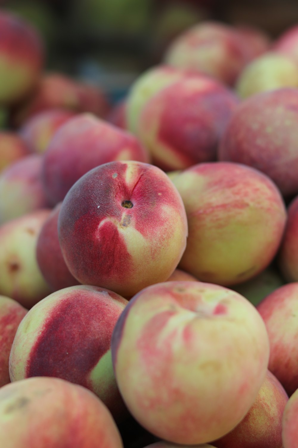 red and yellow apple fruits