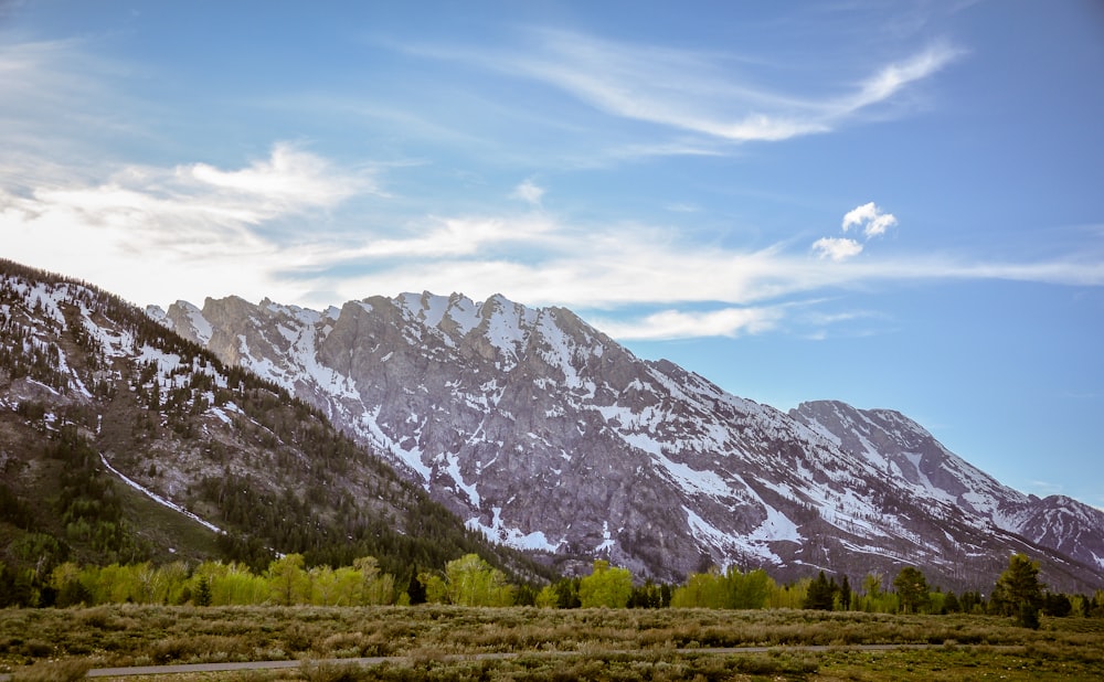 green grass field near gray and white mountain under blue sky during daytime