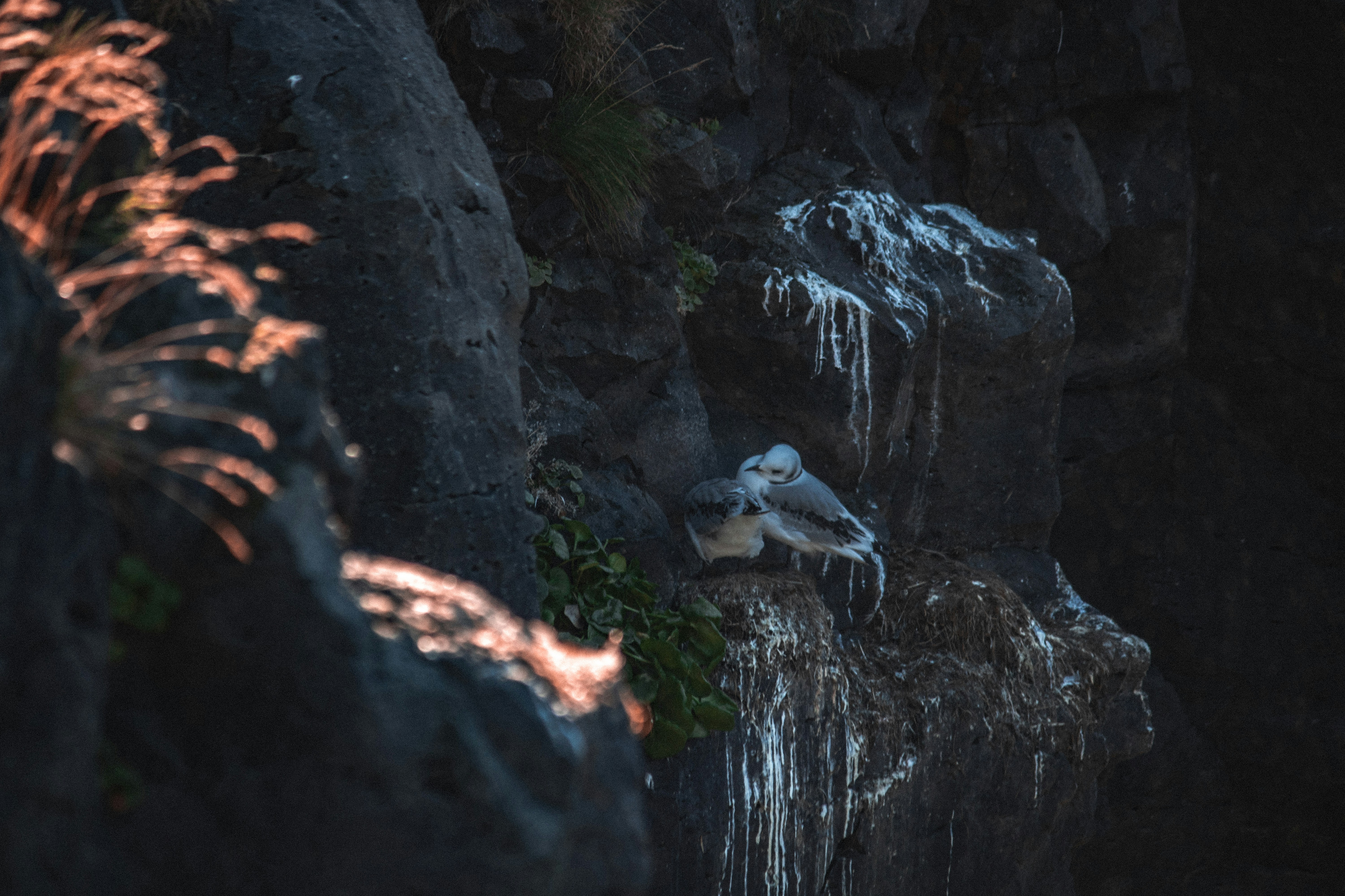 Photo by pierreaxel_