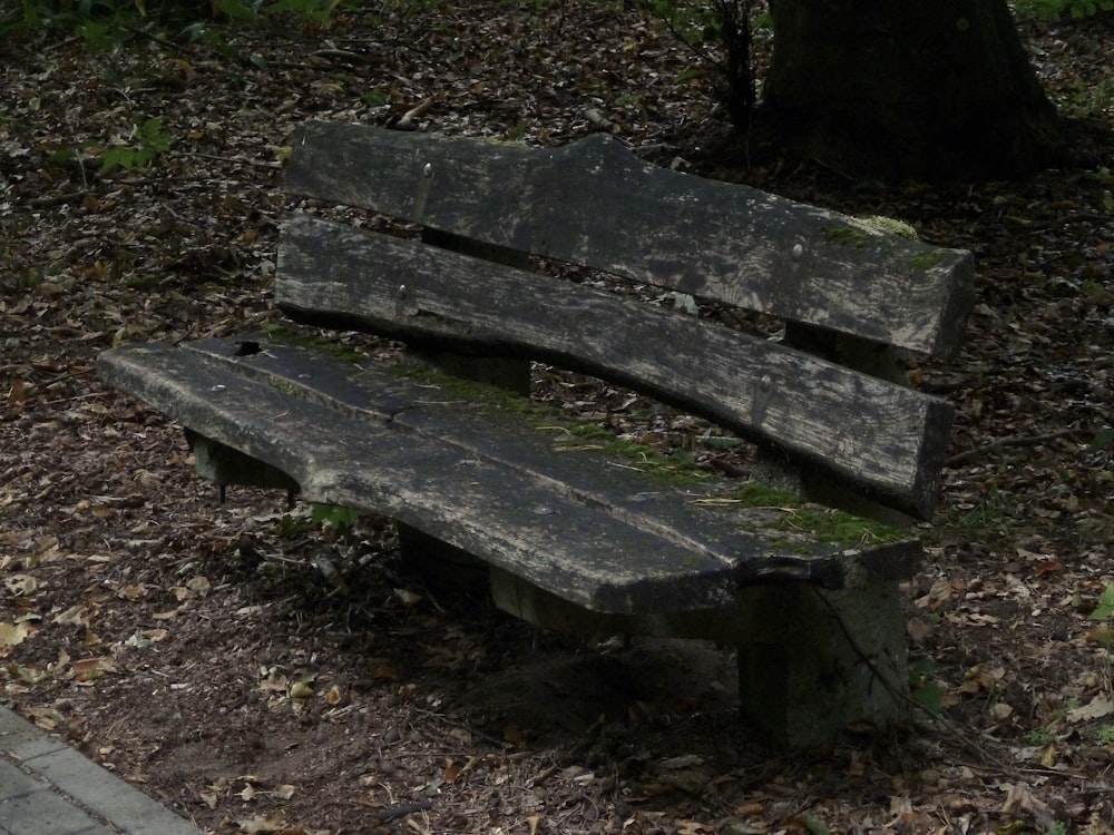 brown wooden bench near green trees during daytime