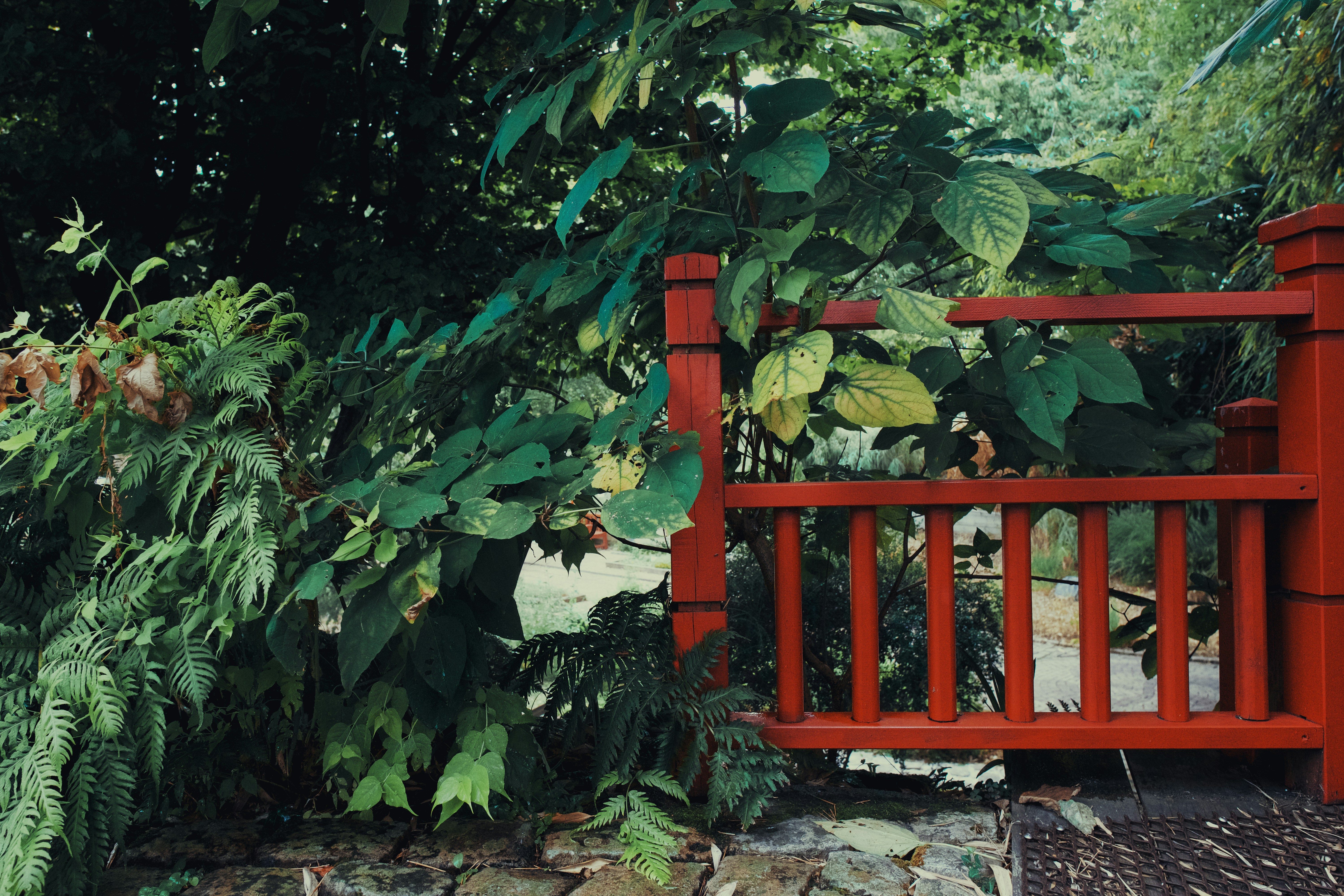 brown wooden fence near green plants