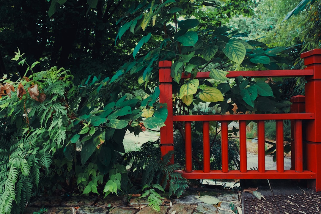 brown wooden fence near green plants