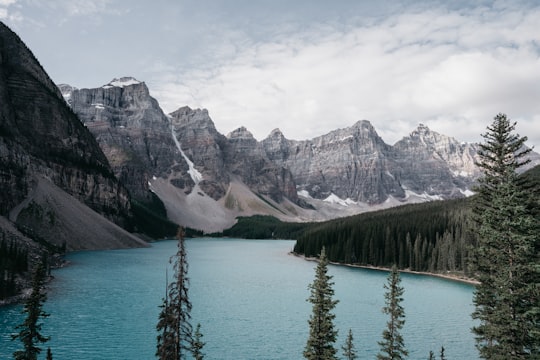 green pine trees near snow covered mountain during daytime in Moraine Lake Canada