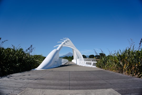 white concrete building under blue sky during daytime in Te Rewa Rewa Bridge New Zealand
