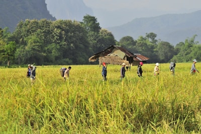 people walking on green grass field during daytime