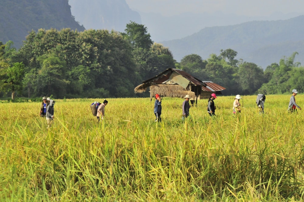 people walking on green grass field during daytime