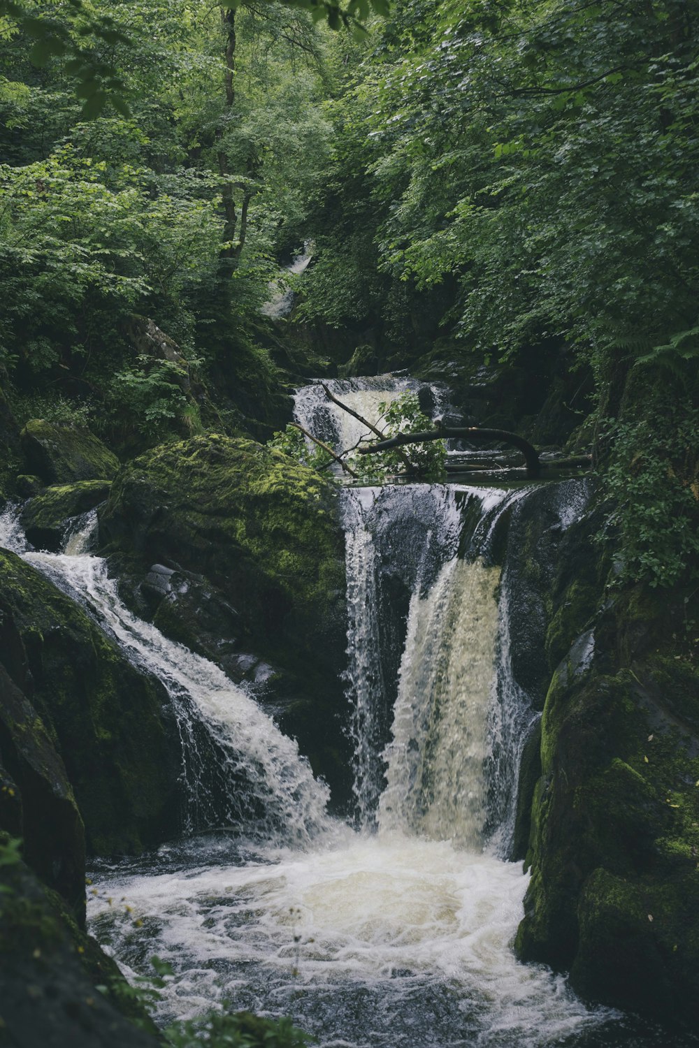 waterfalls in the middle of the forest