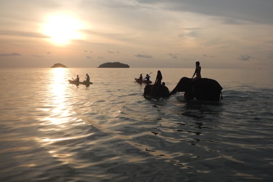 silhouette of people on body of water during sunset in Koh Chang Thailand