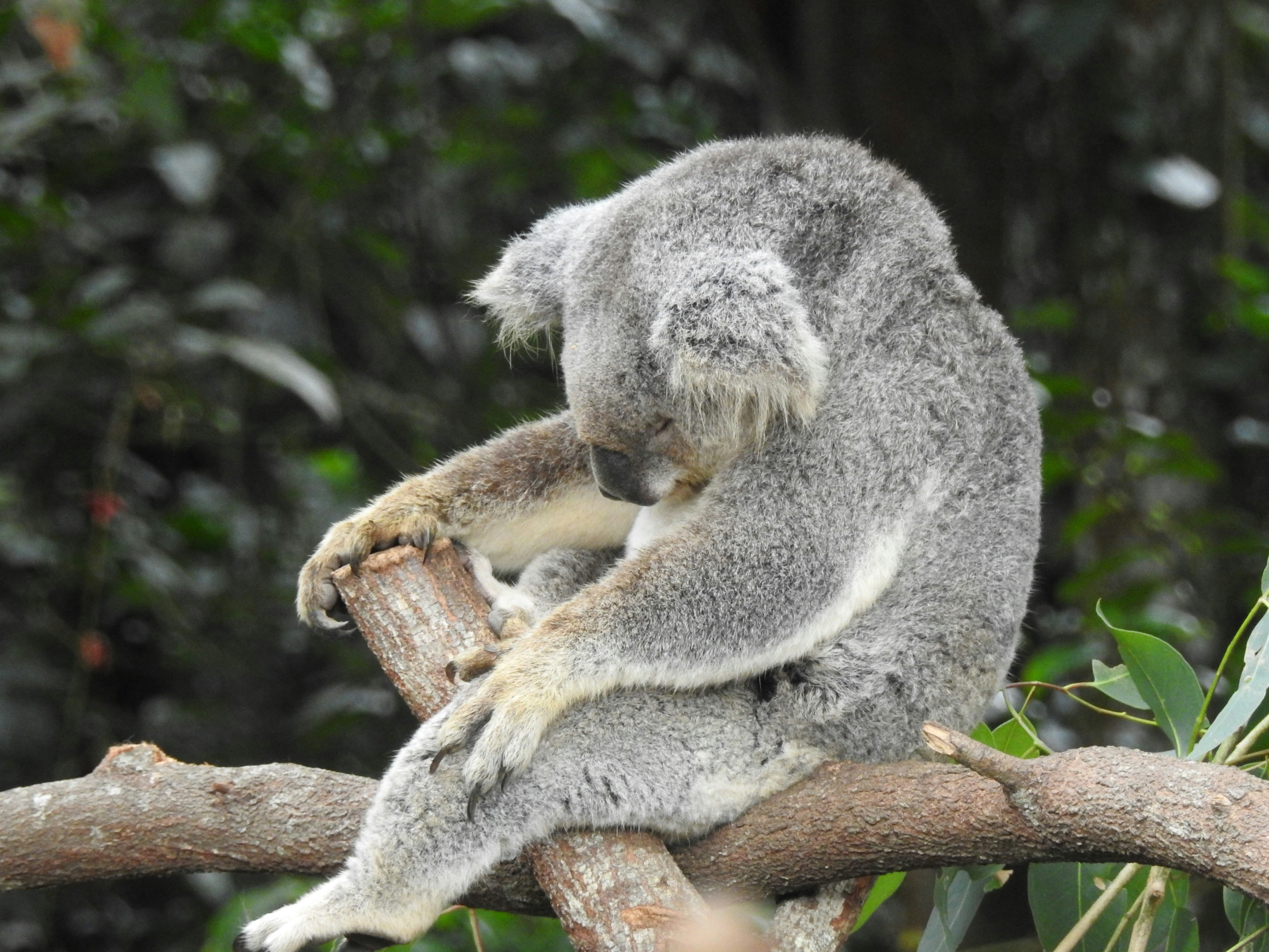 The case for slacking off at work