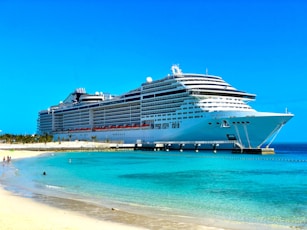 white cruise ship on sea during daytime