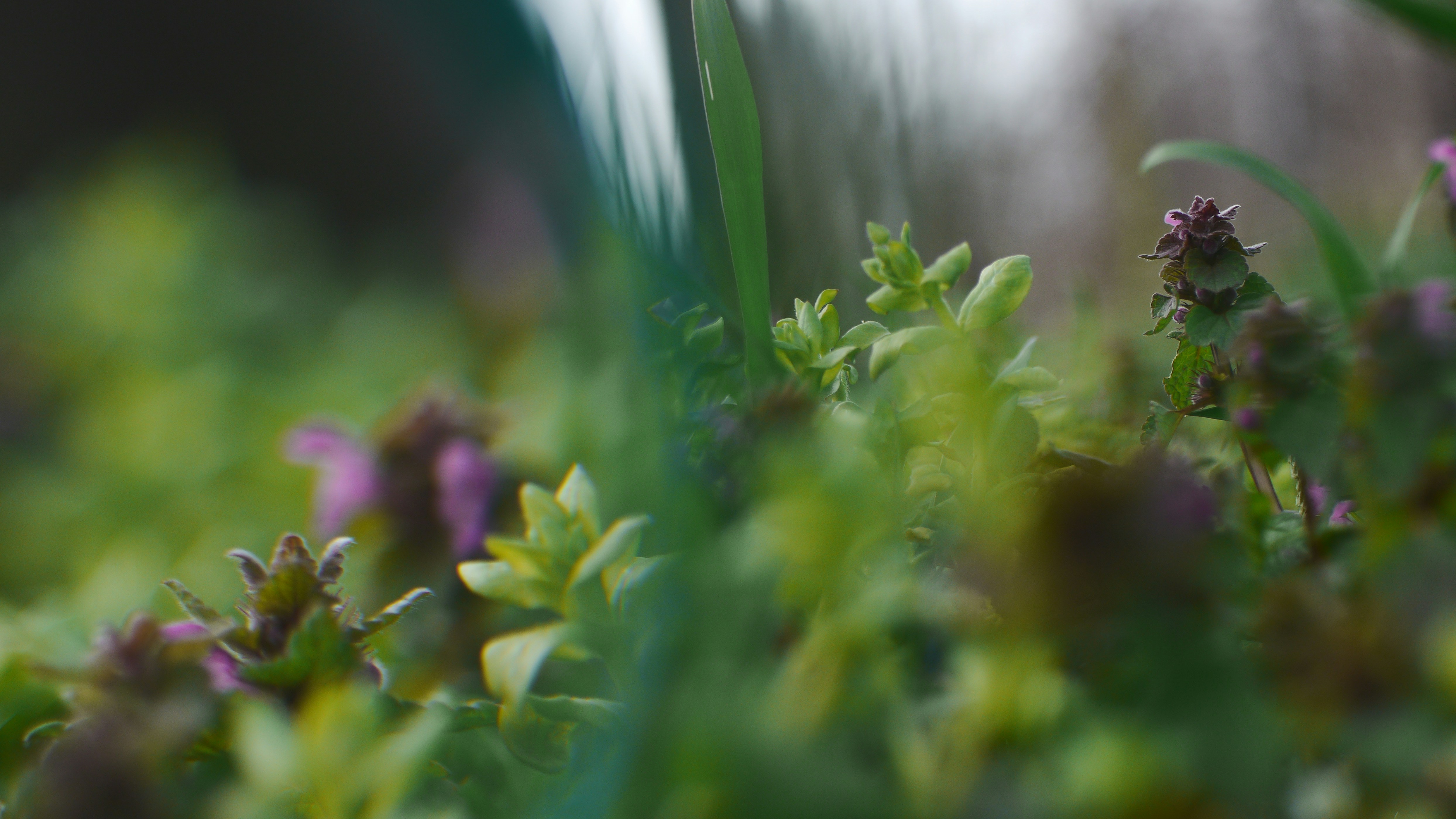 Photo by alexanderph