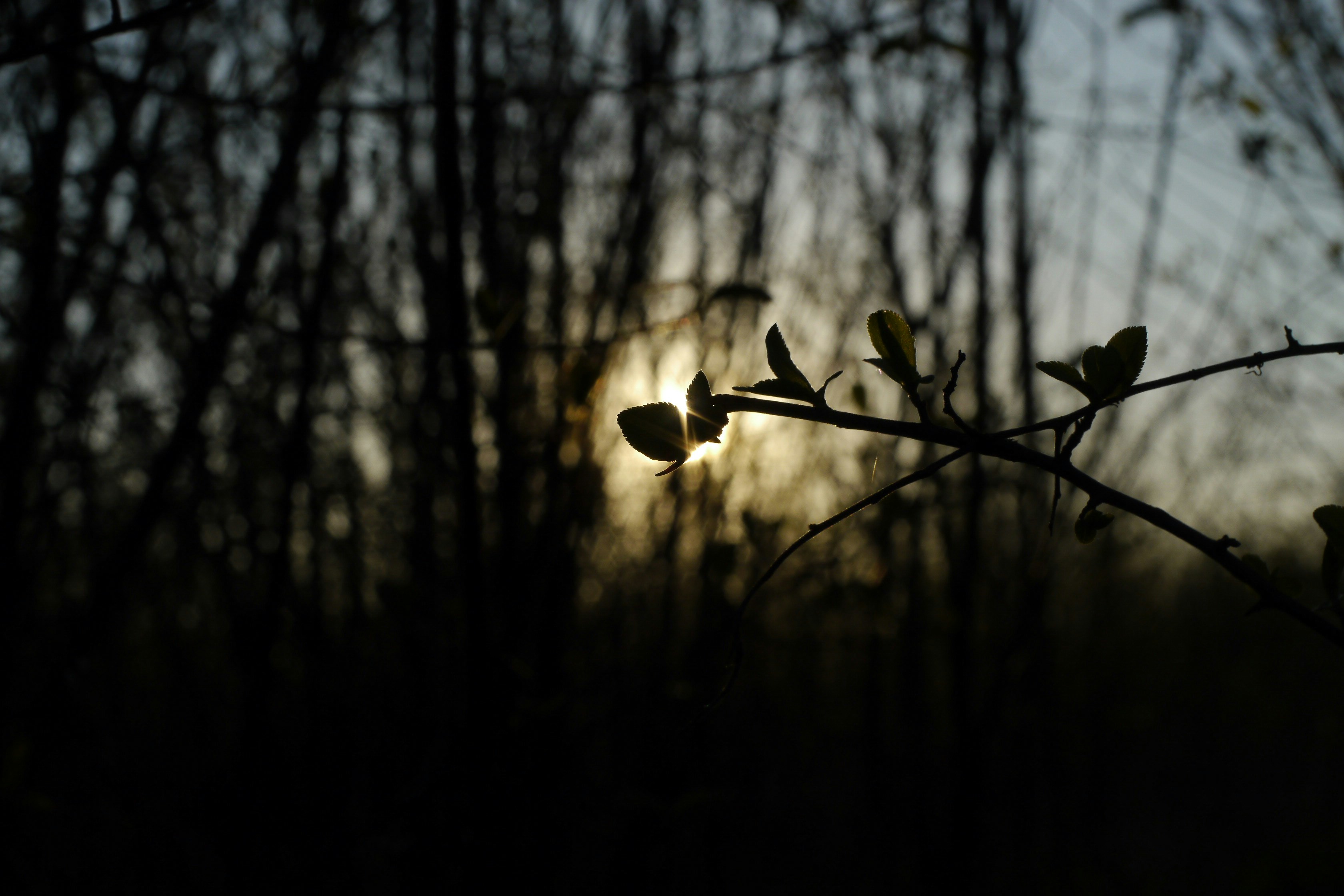 Photo by alexanderph